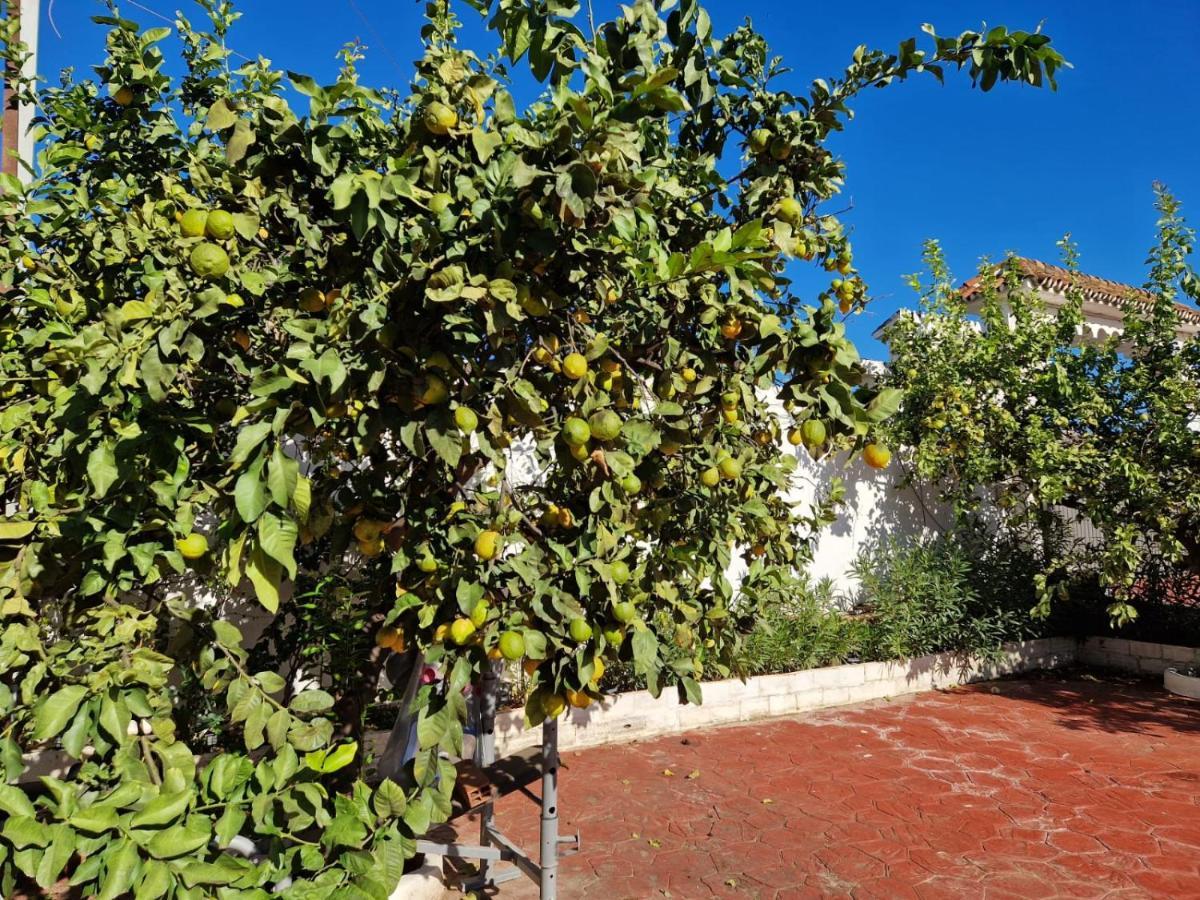 Villa Costa Marbella Eksteriør bilde